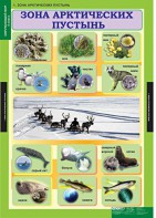 Комплект таблиц. Окружающий мир 4 класс. - fgospostavki.ru - Ижевск
