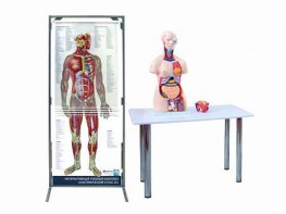 Интерактивный учебный комплекс "Анатомический атлас 3D" - fgospostavki.ru - Ижевск