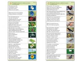 Комплект карточек (10) "Обучающий калейдоскоп. Природа" - fgospostavki.ru - Ижевск