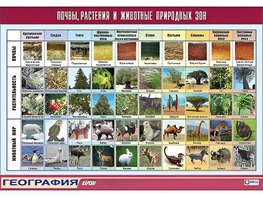 Таблица демонстрационная "Почвы, растения и животные природных зон" (винил 70*100) - fgospostavki.ru - Ижевск