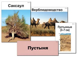 Модель-аппликация "Природные зоны России" (ламинированная) - fgospostavki.ru - Ижевск