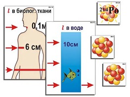 Модель-аппликация "Явление радиоактивности" (ламинированная) - fgospostavki.ru - Ижевск