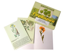 Гербарий "Систематика растений. Семейство Пасленовые. Крестоцветные. Сложноцветные" (раздаточный) - fgospostavki.ru - Ижевск