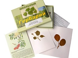 Гербарий "Систематика растений. Семейство Розоцветные" (раздаточный) - fgospostavki.ru - Ижевск