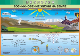 Таблица "Возникновение жизни на земле" (100х140 сантиметров, винил) - fgospostavki.ru - Ижевск