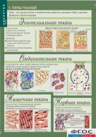 Комплект таблиц. Биология 8-9 класс. Человек. - fgospostavki.ru - Ижевск