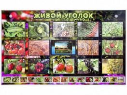 Комплект оборудования "Живой уголок" (растения) с тифлопереводом и сурдокомментариями - fgospostavki.ru - Ижевск