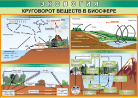 Таблица "Круговорот веществ в биосфере" (100х140 сантиметров, винил) - fgospostavki.ru - Ижевск