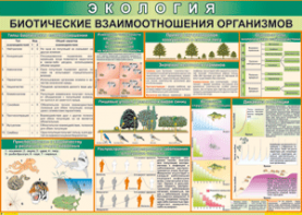 Таблица "Биотические взаимоотношения организмов" (100х140 сантиметров, винил) - fgospostavki.ru - Ижевск