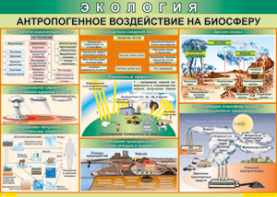 Таблица "Антропогенное воздействие на биосферу" (100х140 сантиметров, винил) - fgospostavki.ru - Ижевск