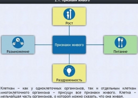 Интерактивные курсы. Биология 5 класс. Базовый - fgospostavki.ru - Ижевск