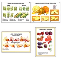Плакаты ПРОФТЕХ "Ассортимент овощных культур" (12 пл, винил, 70х100) - fgospostavki.ru - Ижевск