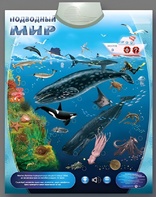 Озвученный плакат "Подводный мир" - fgospostavki.ru - Ижевск