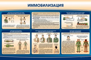 Стенд "Иммобилизация" - fgospostavki.ru - Ижевск