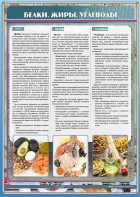 Стенд "Белки. Жиры. Углеводы" - fgospostavki.ru - Ижевск