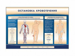 Электрифицированный стенд-тренажер "Остановка кровотечения" - fgospostavki.ru - Ижевск