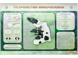 Электрифицированный стенд "Устройство микроскопа и правила работы c ним" - fgospostavki.ru - Ижевск