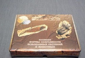 Коллекция "Формы сохранности ископаемых растений и животных" - fgospostavki.ru - Ижевск