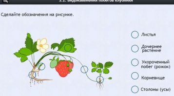 Интерактивные курсы. Биология 7 класс. Расширенный. - fgospostavki.ru - Ижевск