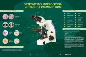 Электрифицированный стенд "Устройство микроскопа и правила работы c ним" - fgospostavki.ru - Ижевск