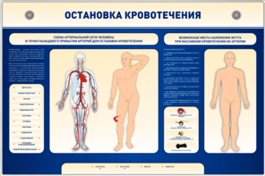 Электрифицированный стенд-тренажер "Остановка кровотечения" - fgospostavki.ru - Ижевск