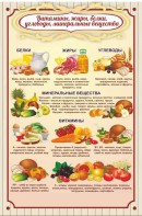Стенд "Витамины, жиры, белки" - fgospostavki.ru - Ижевск