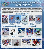 Стенд "Олимпийские зимние виды спорта" - fgospostavki.ru - Ижевск