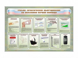 Стенды "Учебно-практическое оборудование по оказанию первой помощи" - fgospostavki.ru - Ижевск