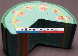 Модель "Стебель растения" - fgospostavki.ru - Ижевск