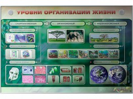 Электрифицированный стенд "Уровни организации жизни" - fgospostavki.ru - Ижевск