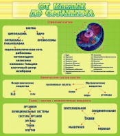 Стенд "От клетки до организма" - fgospostavki.ru - Ижевск