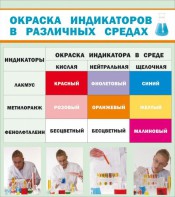 Стенд "Окраска индикаторов в различных средах" - fgospostavki.ru - Ижевск