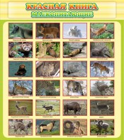 Стенд "Красная книга - млекопитающие" - fgospostavki.ru - Ижевск