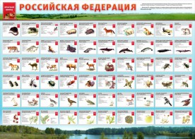 Стенд "Красная книга РФ" - fgospostavki.ru - Ижевск