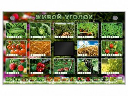 Комплект оборудования "Живой уголок" (растения) - fgospostavki.ru - Ижевск