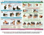Комплект плакатов "Оказание первой доврачебной медицинской помощи" - fgospostavki.ru - Ижевск
