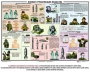 Комплект плакатов "Химическая защита" - fgospostavki.ru - Ижевск