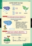Комплект таблиц. Русский язык. Обучение грамоте 2 класс. - fgospostavki.ru - Ижевск