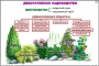 Комплект кодотранспарантов "Культурные растения" - fgospostavki.ru - Ижевск