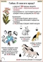 Комплект кодотранспарантов "Ядовитые растения" - fgospostavki.ru - Ижевск