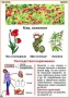 Комплект кодотранспарантов "Ядовитые растения" - fgospostavki.ru - Ижевск